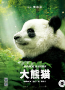 掌门的烦恼