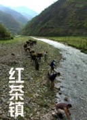 我独自崛起