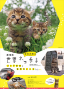木偶惊魂 粤语版
