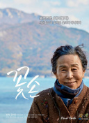 你好，火焰蓝