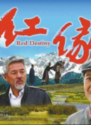 明天也想见到你
