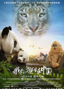神犬小七 第三季