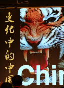 帐篷营业中