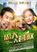 鬓边不是海棠红