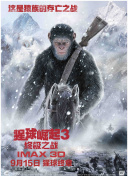 王子的本命是反派大小姐