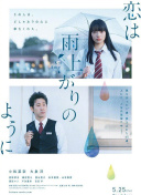 公牛