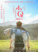 当草莓视频在线看APP污在一起