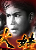 替嫁医女