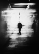北极虎鲸