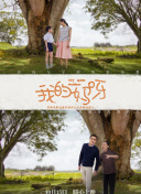 极速前进 第三十五季