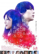 公牛