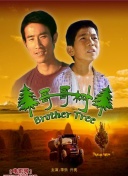 战争与和平