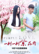 烂漫