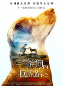 权欲 第六季