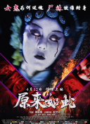 社长之路