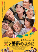 乡村爱情11
