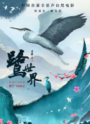 偶然遇见的你