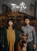 后空翻少年
