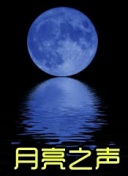 夜行动物