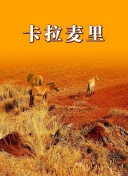 从今天开始当城主