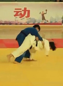 金刀秘卫之婳美人