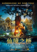 代理公司