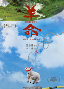 代理公司