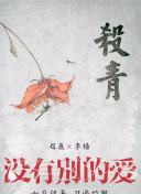 汽车先生和圣殿骑士团