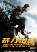 公牛