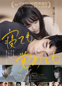 代理公司