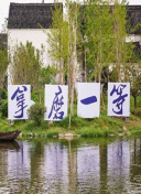 政宗君的复仇R