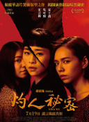 少林寺传奇之东归英雄