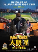 安全领域