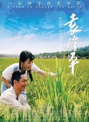云襄传